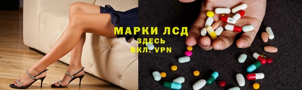 индика Белокуриха