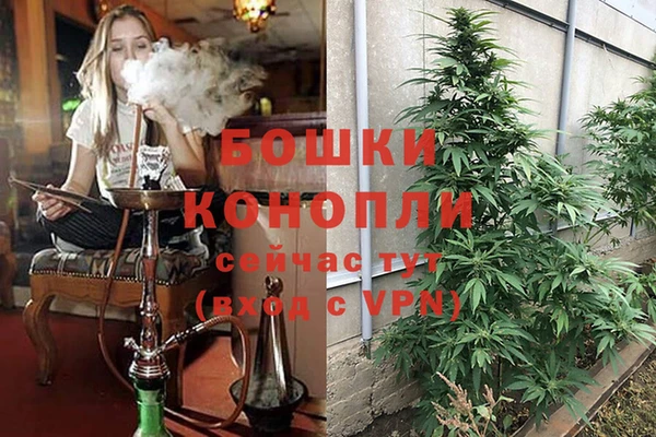 индика Белокуриха