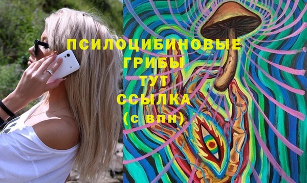 индика Белокуриха