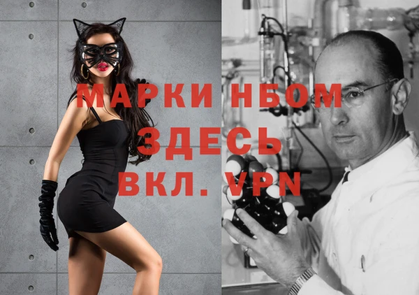 индика Белокуриха