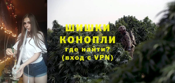 индика Белокуриха