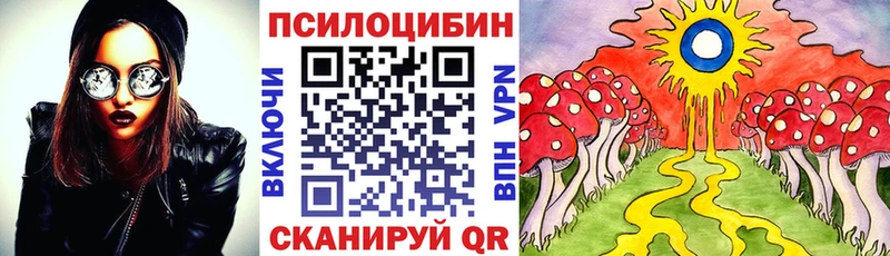 Галлюциногенные грибы MAGIC MUSHROOMS  мега онион  Кудымкар  где купить наркоту 